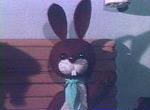 Teddy